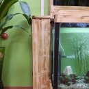 꿈누리유치원 이미지