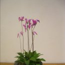 유달초등학교 이미지