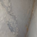 레디젯코리아 이미지