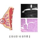 내추럴싸이언스 이미지