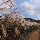 산성등산로2 이미지