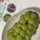 윤화농장 네이버블로그