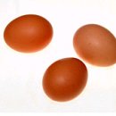 9월 19일 3주차리포트 - Stuffed Egg 이미지