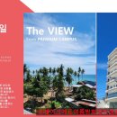 생활영어 입문반 이미지