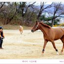 경마공원 이미지