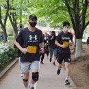 강기준복싱다이어트 이미지