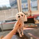 잇츠 소미 스타일 이미지