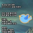 토요일오후 이미지