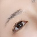 제이위드 이미지