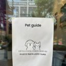 베이글펫