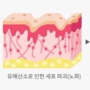 비타(vita)