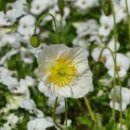 인터넷 기초 이미지