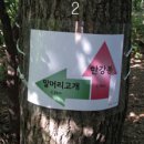 안골토종닭 이미지