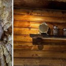 부엉이산장부천역점 이미지