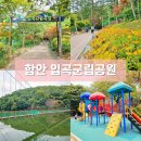 함안 여행 가볼만한 곳 입곡군립공원과 출렁다리