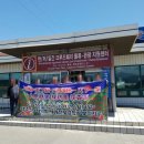 동해항 국제여객터미널 이미지