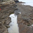 공룡 발자국화석지 이미지