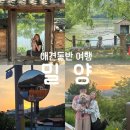 [밀양]1박2일 애견동반 여행|밀양반값여행