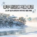 탄금호 순환자전거길12 | 충주 탄금대 겨울 풍경, 소나무 숲과 남한강이 어우러진 힐링 여행