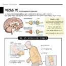 원광한의원 이미지