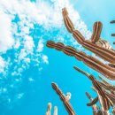 대훈농장 이미지