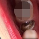 고웰치과의원 이미지