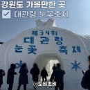 가무네경로당 | [강원도 가볼만한 곳] 2026 대관령 눈꽃축제 일정, 입장료, 주차 총정리, 솔직후기