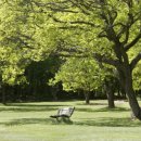 맑은미소한의원 이미지