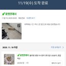 블뤼엔 | 쿠팡 블뤼엔 생화 자나장미 꽃다발S 30송이 로켓배송후기