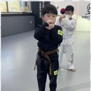 미르태권도 이미지