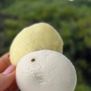 해맑은떡방