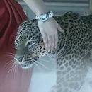 유명 이미지