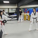 천하 태권도 | [신림 성인태권도] 헬스장 3일천하 끝? 5월, 직장인 체력 관리가 즐거워지는 특별한 방법 (관악구 동작구)