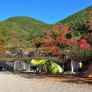 장좌리캠핑장 이미지