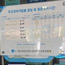 애니카랜드 와동점 이미지