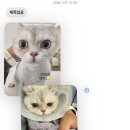 냥만미용실 이미지