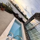 아라파니 이미지