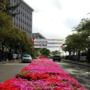 수성구 평생학습관 이미지