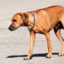 명성숯불갈비 이미지