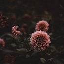 기초드로잉 이미지