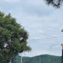 장수마을 풍천장어 이미지
