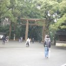 일본 동경 여행 - 하라주쿠"메이지신궁"+일본라멘집 이미지