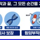 하이클래스 이미지