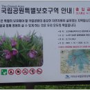 노고단-2 이미지