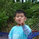 희철농장 Daum카페