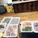 가장맛있는족발 봉화산역점