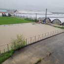 송용축산 뉴스1