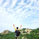 노을멍 Daum카페