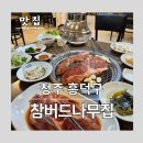 참버드나무집
