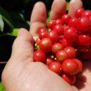 부해농장 이미지